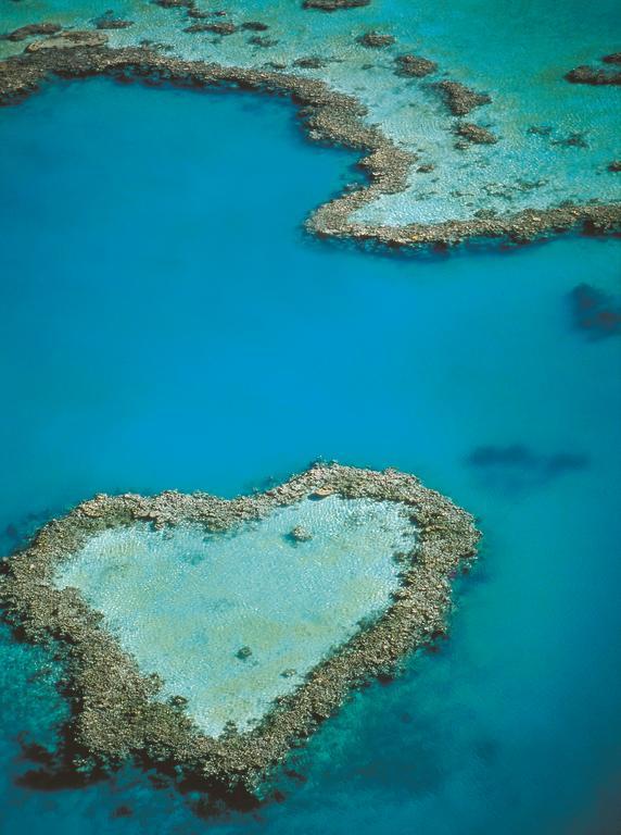 At Waterfront Whitsunday Retreat - Adults Only Apart otel Airlie Beach Dış mekan fotoğraf